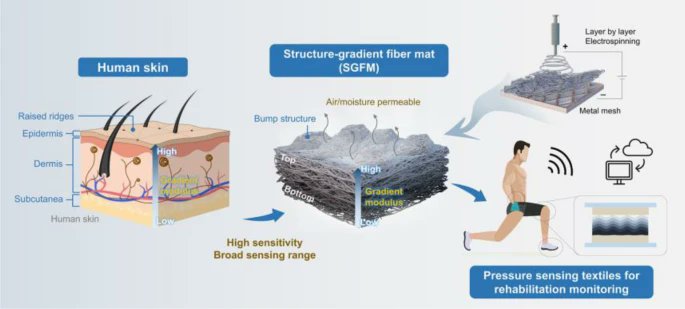 Skin‑Inspired, Permeable, Structure‑Gradient Fiber Mats for Pressure Sensing in Rehabilitation Assistance
🧑‍🎓Jinxing Jiang et al.
🏫The Hong Kong Polytechnic University
🔗link.springer.com/article/10.100…
#Textile electronics #Gradient structure #Pressure sensor #Rehabilitation monitoring