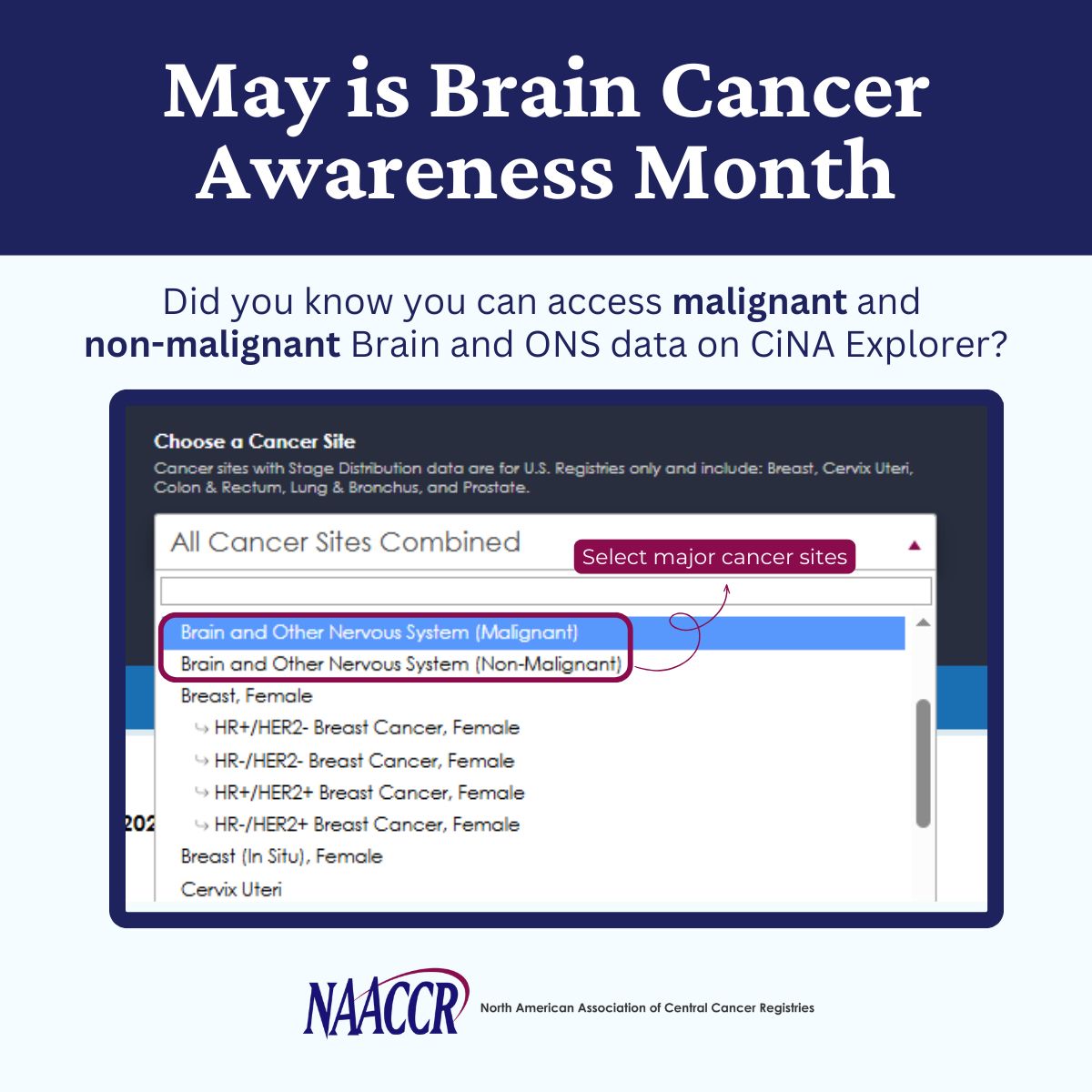Non-malignant Brain and ONS cancer data have been collected by NAACCR registries since 2004! 🧠 These cancers should be reported as a standard assessment of brain and ONS cancer burden in communities. buff.ly/4bT7GMq. #CiNAdata #cancerresearch #braincancer