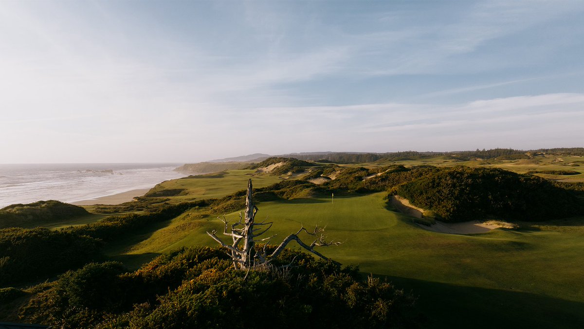 The Golfer's Journal tweet media