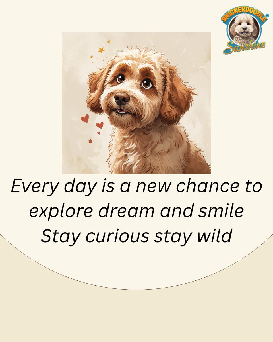 SnickerdoodleSu's tweet image. Tiny paws. Big adventures
 #PawsAndExplore #HappinessUnleashed #CuriousCanine#Goldendoodles
#SnickerdoodleSunshine
#Snickerdoodle
#IslandDog
#ChildrensBooks