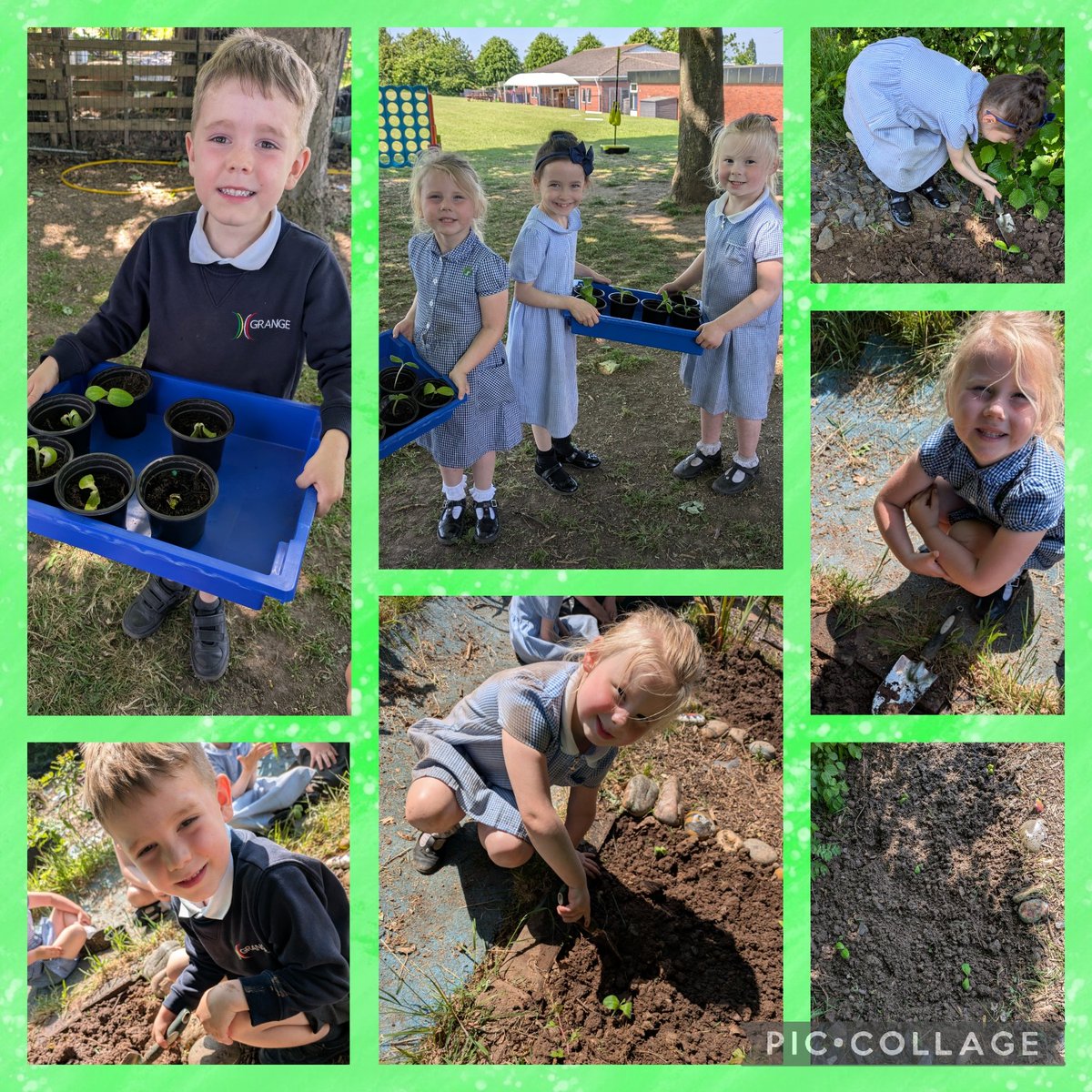 Reception have had a great time counting in the allotments. We also worked hard to plant our pumpkins and made predictions on how many will grow Xx. #GrangeScience #GrangeAllotments <a href="/GrangeMrsMcG/">Mrs McGilloway</a> <a href="/GrangeMissA/">GrangeMissA</a>