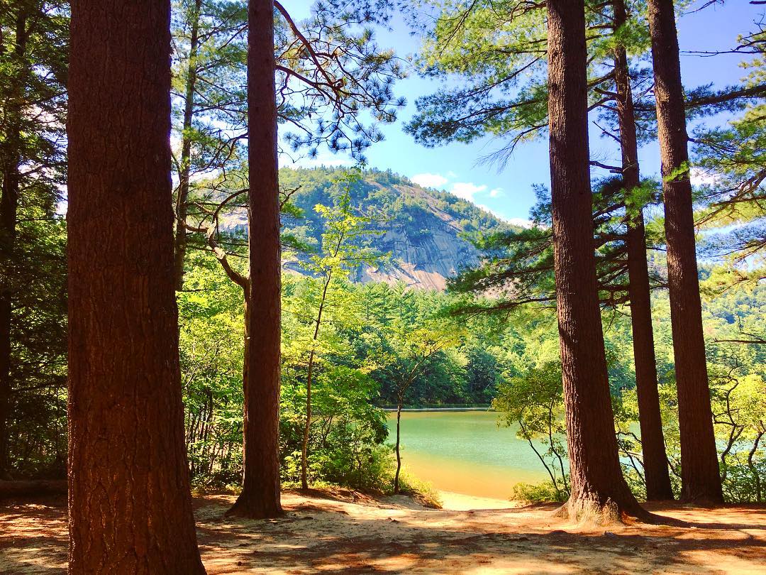 White Mountains New Hampshire (@whitemts) on Twitter photo We are swimming in nominations for USA Today's <a href="/10Best/">USA TODAY 10Best</a> awards! π Cast your vote for Echo Lake Beach (in Echo Lake State Park, North Conway) as the BEST LAKE FOR SWIMMING. π whitemts.us/3FcbjTk
πΈ <a href="/1littlewanderer/">Emma Lander</a>
#whitemountains #echolake #nhstateparks #discoveryournew We are swimming in nominations for USA Today's <a href="/10Best/">USA TODAY 10Best</a> awards! π Cast your vote for Echo Lake Beach (in Echo Lake State Park, North Conway) as the BEST LAKE FOR SWIMMING. π whitemts.us/3FcbjTk
πΈ <a href="/1littlewanderer/">Emma Lander</a>
#whitemountains #echolake #nhstateparks #discoveryournew