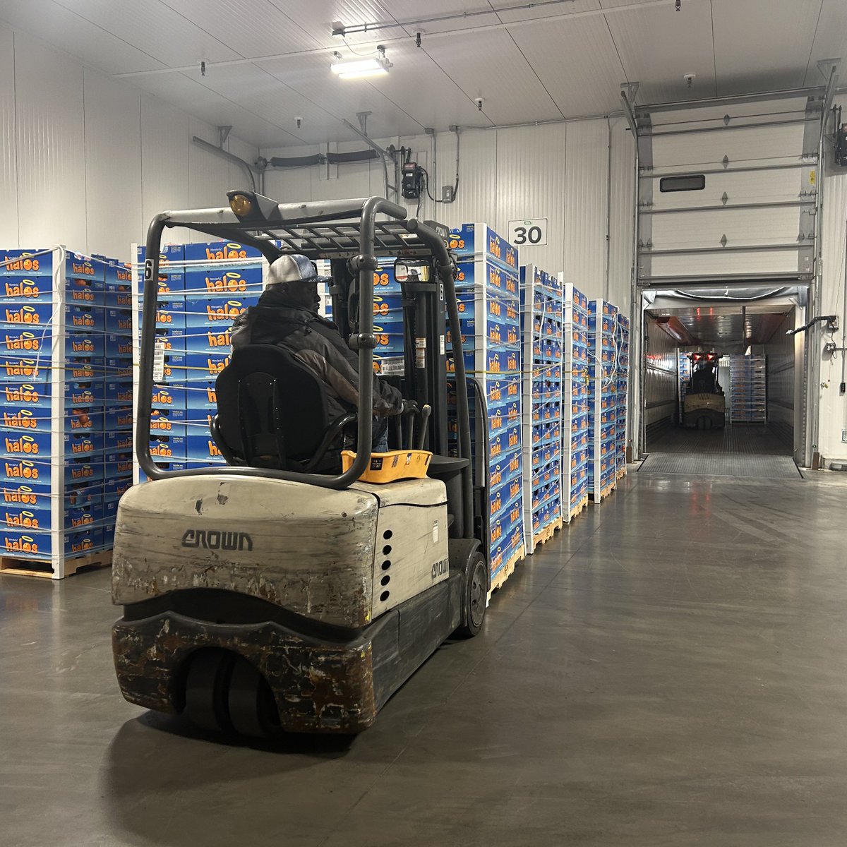 🍊 Spreading sunshine across Tampa Bay!
Thanks to <a href="/Wonderful/">The Wonderful Company</a> for donating Halos mandarin oranges—now headed to 7 counties!
Nutritious, delicious, and full of love. 💙
Thank you <a href="/HalosFun/">Wonderful Halos</a> for helping us nourish our community!

#ThankYouHalos #FightHunger #FoodForAll #GiveBack