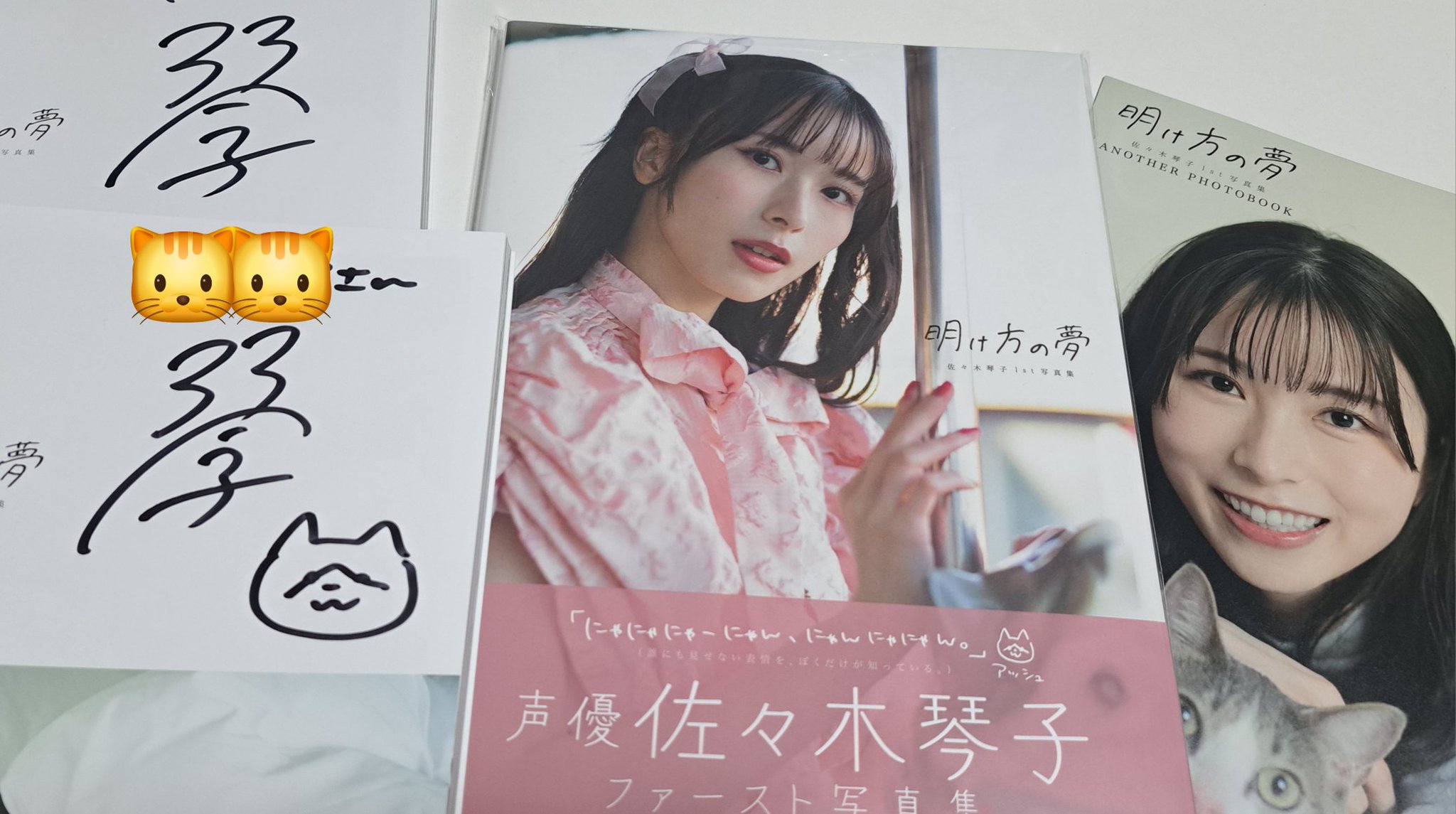 紅蓮🦘🍎🐱 on X: 