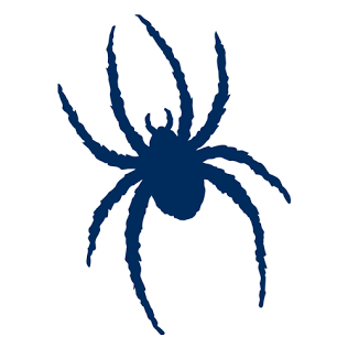 Colten Nunn (@colten_n58) on Twitter photo Thank you <a href="/C_Ellis85/">Chris Ellis</a> for stopping by to talk <a href="/Spiders_FB/">Richmond Spiders Football</a>
<a href="/koachbk/">Bernie Koontz</a>
<a href="/CoachDanGebhart/">Dan Gebhart</a>
<a href="/MVHSFB/">Manchester Valley Football</a> Thank you <a href="/C_Ellis85/">Chris Ellis</a> for stopping by to talk <a href="/Spiders_FB/">Richmond Spiders Football</a>
<a href="/koachbk/">Bernie Koontz</a>
<a href="/CoachDanGebhart/">Dan Gebhart</a>
<a href="/MVHSFB/">Manchester Valley Football</a>
