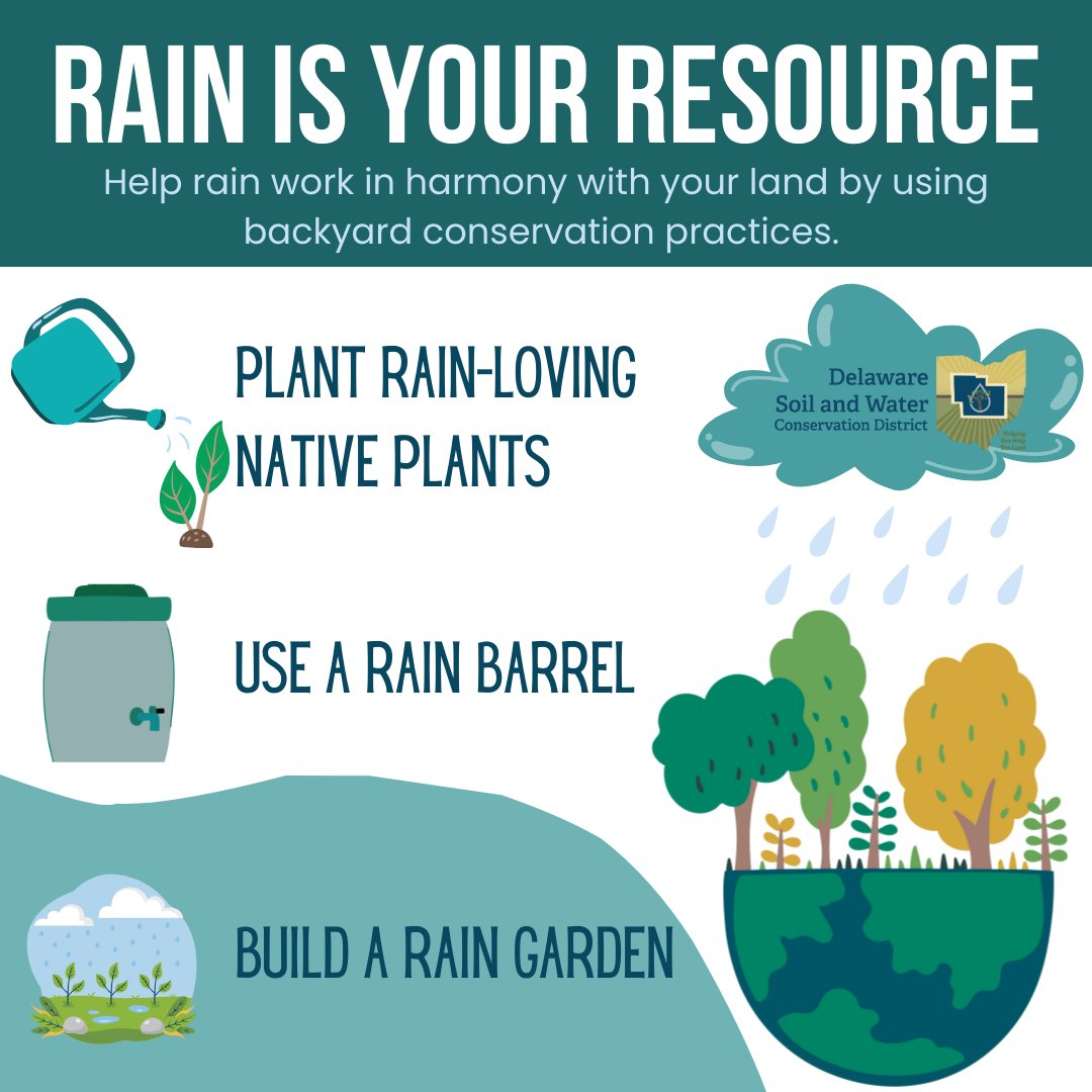 💦Rain is Your Resource – Soak it in!
🌱With all this rain we've been getting, we encourage you to help rain work in harmony with your land.
🌧Visit our website for more info on rain barrels, native plants, and rain gardens. 
soilandwater.co.delaware.oh.us/resources/
#rainbarrels #raingardens
