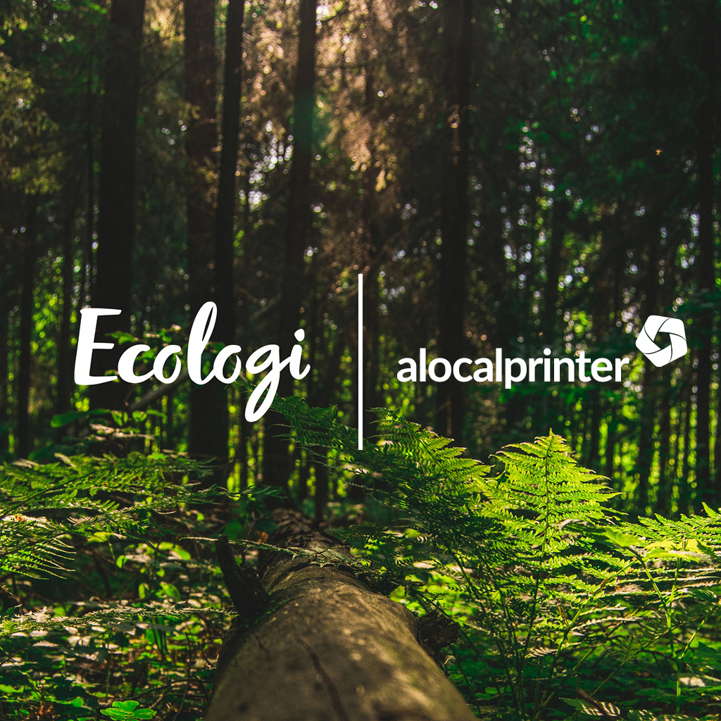 A short update on our carbon offset partnership via Ecologi. 15 months in we have funded 264 trees and supported 42.38 tCO2e from being emitted via 7 verified carbon avoidance projects. Every month we know that we are doing the planet a little bit of good!
ecologi.com/alocalprinterl…
