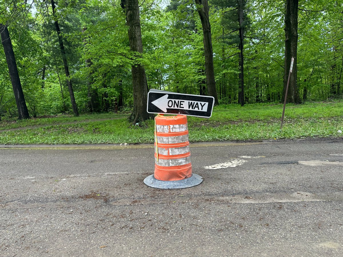 Don't lose your wild. And other advice for #graduates from my messy wonderful life

tinyurl.com/yf6avjnj