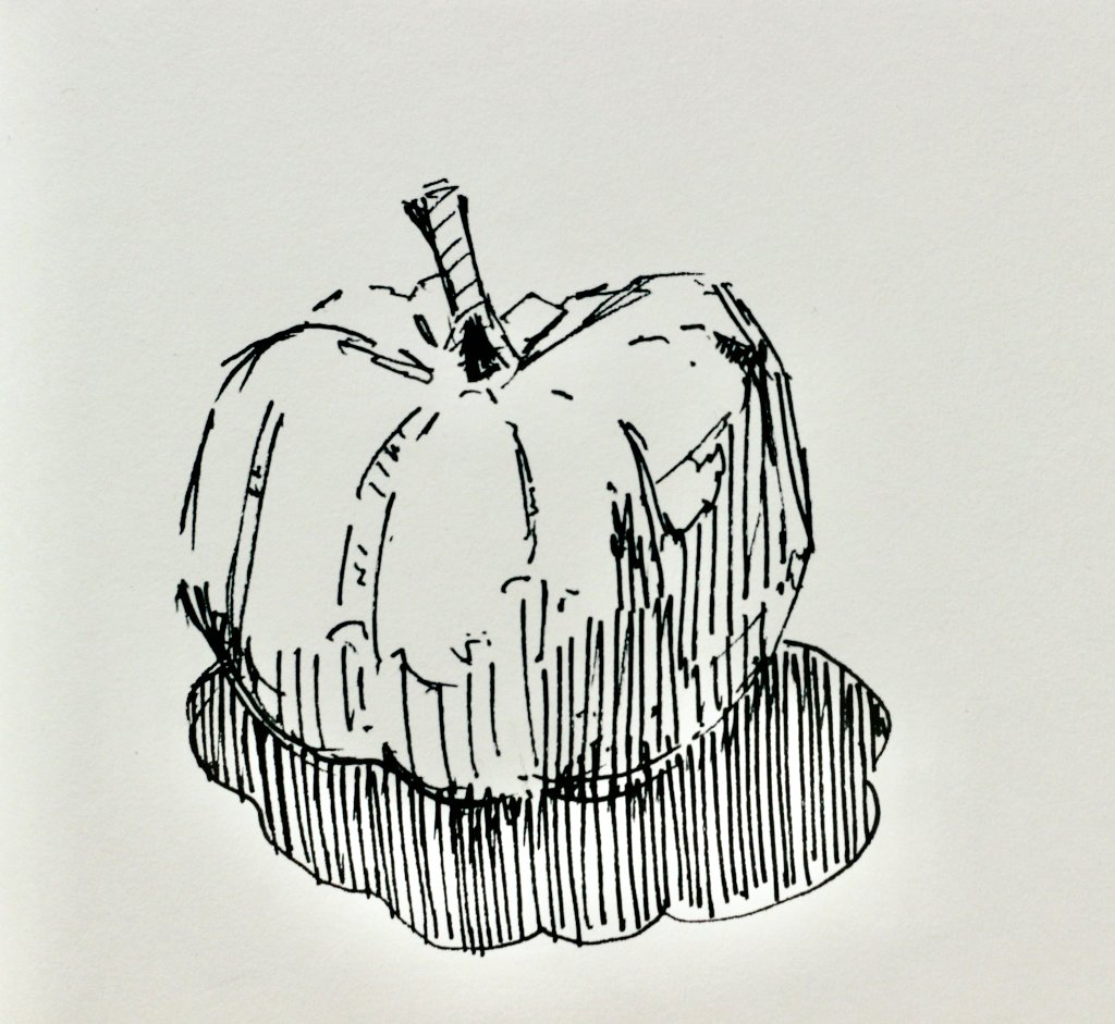 Some pumpkin sketches from....... last pumpkin season(?) 

Done using Sakura Pigma Graphic pens in a Magnani 1404 sketchbook. 

#sketch #pensketch #drawing #sketchbook #pensketching #pendrawing #magnani1404 #sketching