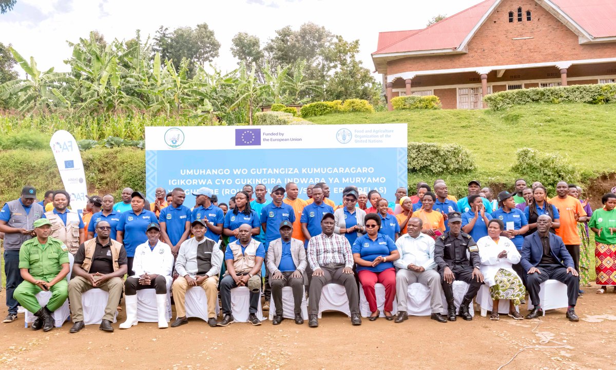 FAO in Rwanda (@faorwanda) on Twitter photo Today, <a href="/FAORwanda/">FAO in Rwanda</a>, <a href="/RwandaAgriBoard/">Rwanda Agriculture & Animal Resources Devpt Board</a> & <a href="/RutsiroDistrict/">Rutsiro District</a>, with support from <a href="/EUinRW/">EU Delegation to Rwanda</a> under the #DeSIRA project, officially launched the Swine Erysipelas Vaccination Campaign for livestock health management and sustained productivity. Today, <a href="/FAORwanda/">FAO in Rwanda</a>, <a href="/RwandaAgriBoard/">Rwanda Agriculture & Animal Resources Devpt Board</a> & <a href="/RutsiroDistrict/">Rutsiro District</a>, with support from <a href="/EUinRW/">EU Delegation to Rwanda</a> under the #DeSIRA project, officially launched the Swine Erysipelas Vaccination Campaign for livestock health management and sustained productivity.