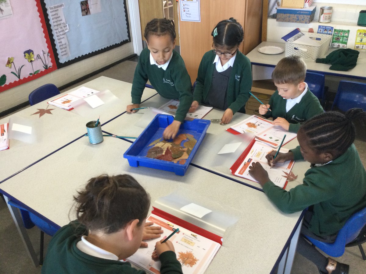 @year1fossdene tweet media