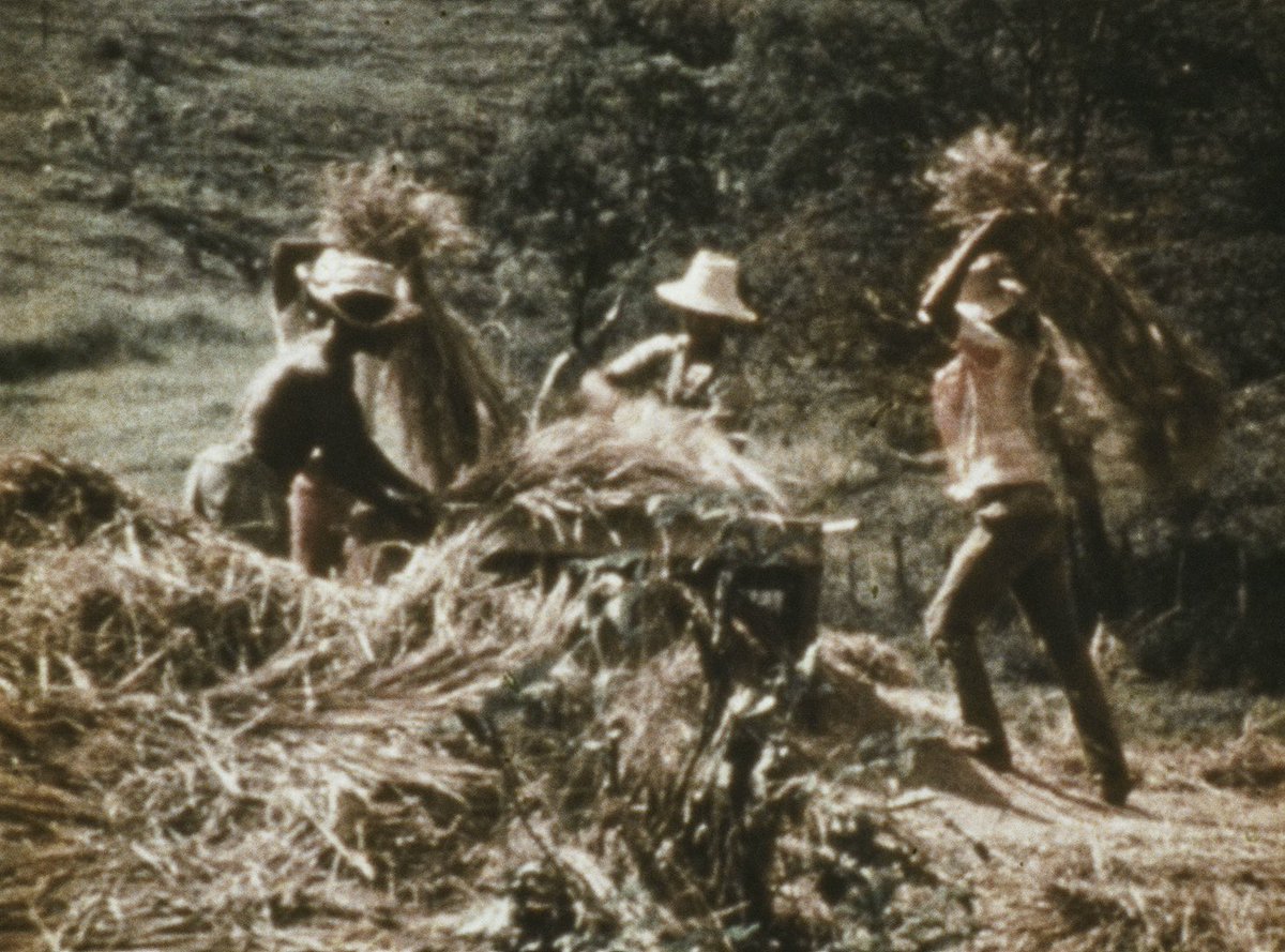 Confira imagens de nossa nova digitalização em 2K do filme E o Mundo Era Muito Maior que a Minha Casa (1976), de Eunice Gutman.