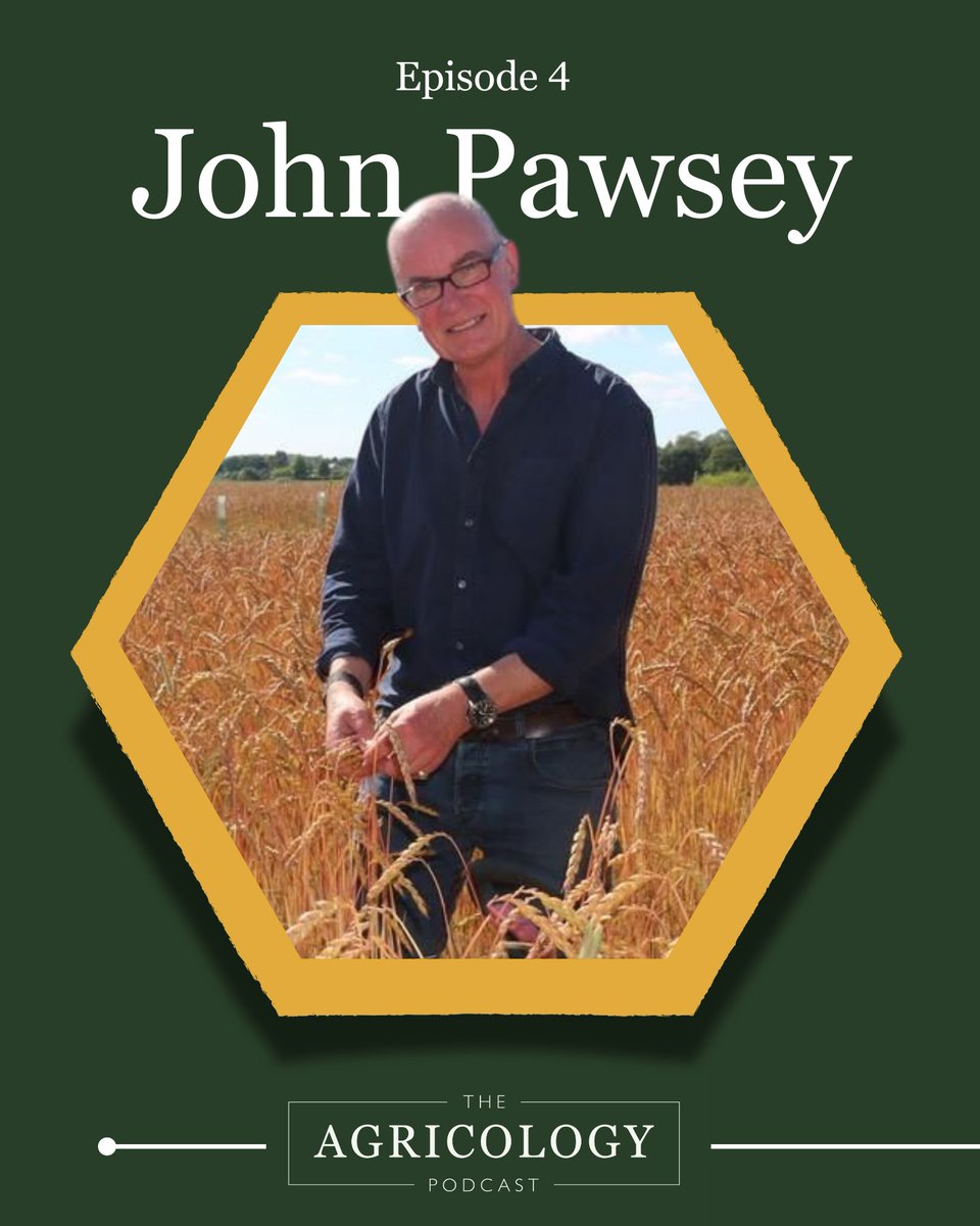 Agricology (@agricology) on Twitter photo ⏰New episode alert! This week on the #ToTillorNotToTill podcast, we talk with <a href="/hanslope/">John Pawsey 🌞</a> of <a href="/ShimplingPark/">Shimpling Park Farm</a> about:
🚜Tillage in #organic systems
🐛Balancing weed & pest pressures
🍎Overlap between regenerative & organic
🙌How diversity drives success
🔗 tinyurl.com/vzsedk3n ⏰New episode alert! This week on the #ToTillorNotToTill podcast, we talk with <a href="/hanslope/">John Pawsey 🌞</a> of <a href="/ShimplingPark/">Shimpling Park Farm</a> about:
🚜Tillage in #organic systems
🐛Balancing weed & pest pressures
🍎Overlap between regenerative & organic
🙌How diversity drives success
🔗 tinyurl.com/vzsedk3n