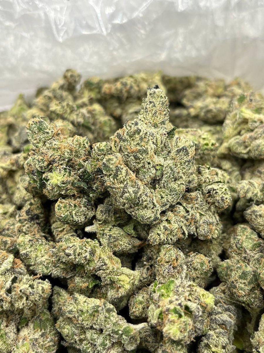 OGNATION100's tweet image. Grape  Gas ⛽️