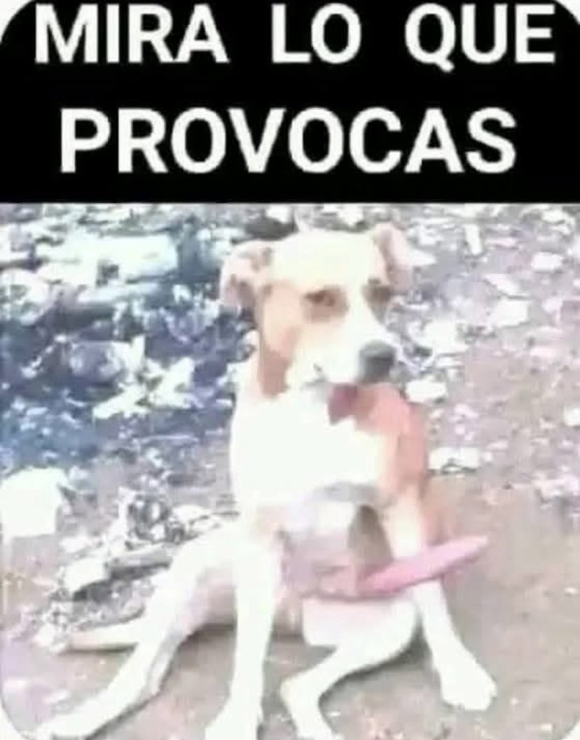 elgorygirc's tweet photo. @morainforma https://t.co/82kAV0OqrX