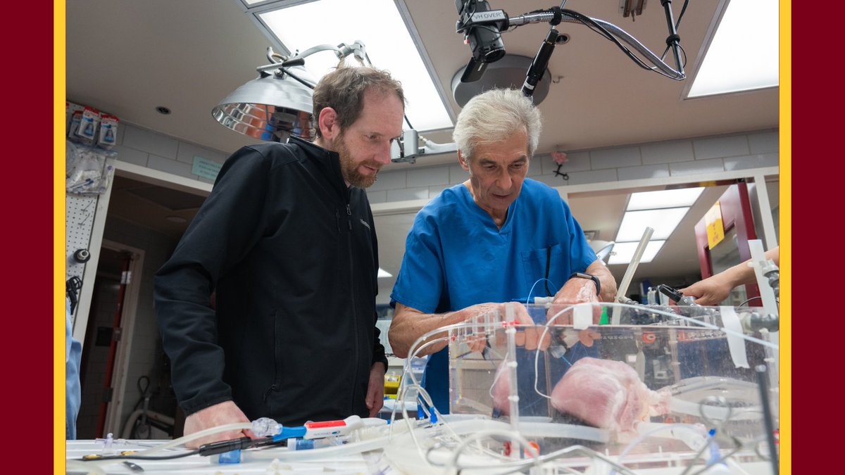#UMNSurgery’s Dr. @Paul A. Iaizzo, Director of <a href="/VisibleHeartLab/">Visible Heart® Laboratories</a>, leads a 28-year collaboration with <a href="/Medtronic/">Medtronic</a> advancing cardiac device innovation.

The labs lead in studying heart anatomy and testing devices with reanimated hearts.

Read more ➡️ z.umn.edu/agcz