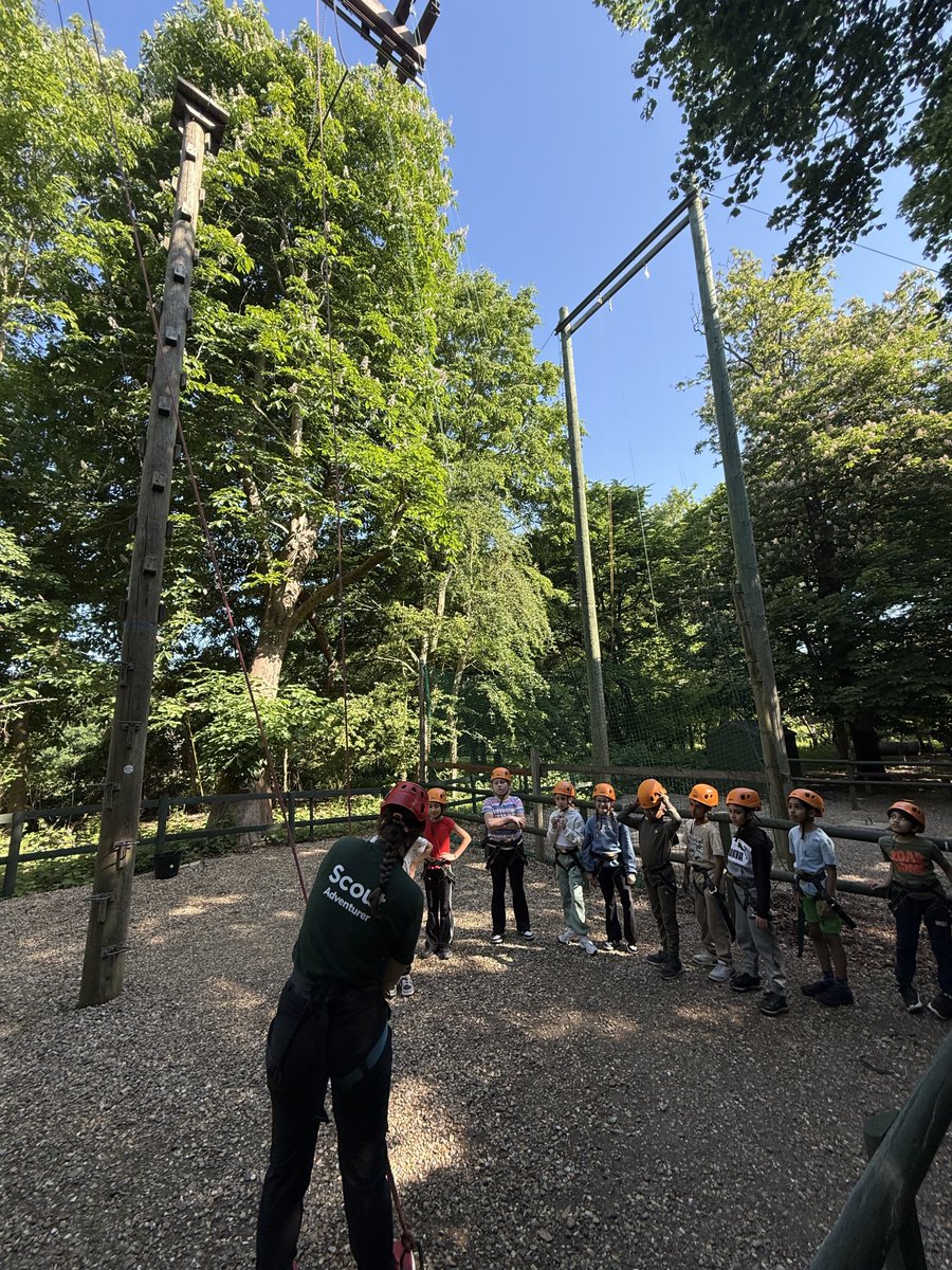 Solebay Primary tweet media