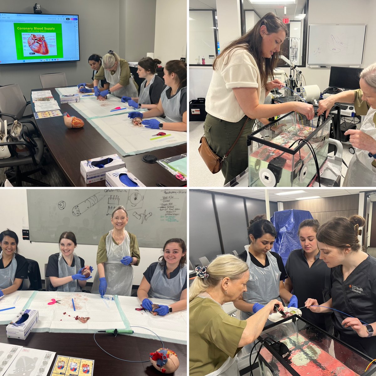 EpProgram's tweet image. We're finishing up the EP portion of the program with biophysics of ablation. A heart dissection & simulated ablation, led by Dr. Dougherty, was informative and fun! 
#electrophysiology #cardiology #biology #exercisephysiology #kinesiology #biomedicalengineering…