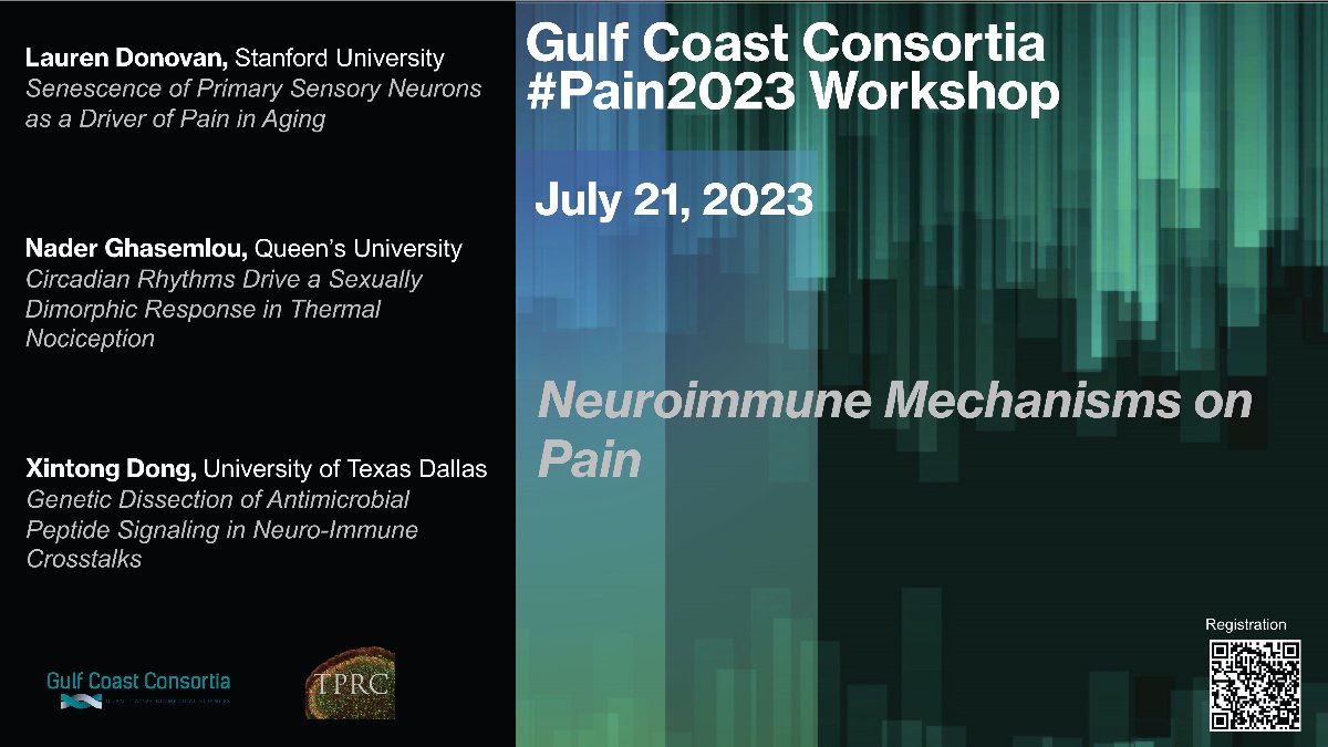 Invitation: #Pain2025 Workshop, Pain Neuroimaging, May 16, 2025, 1-2 pm (CDT) - mailchi.mp/1473ddd37823/l…