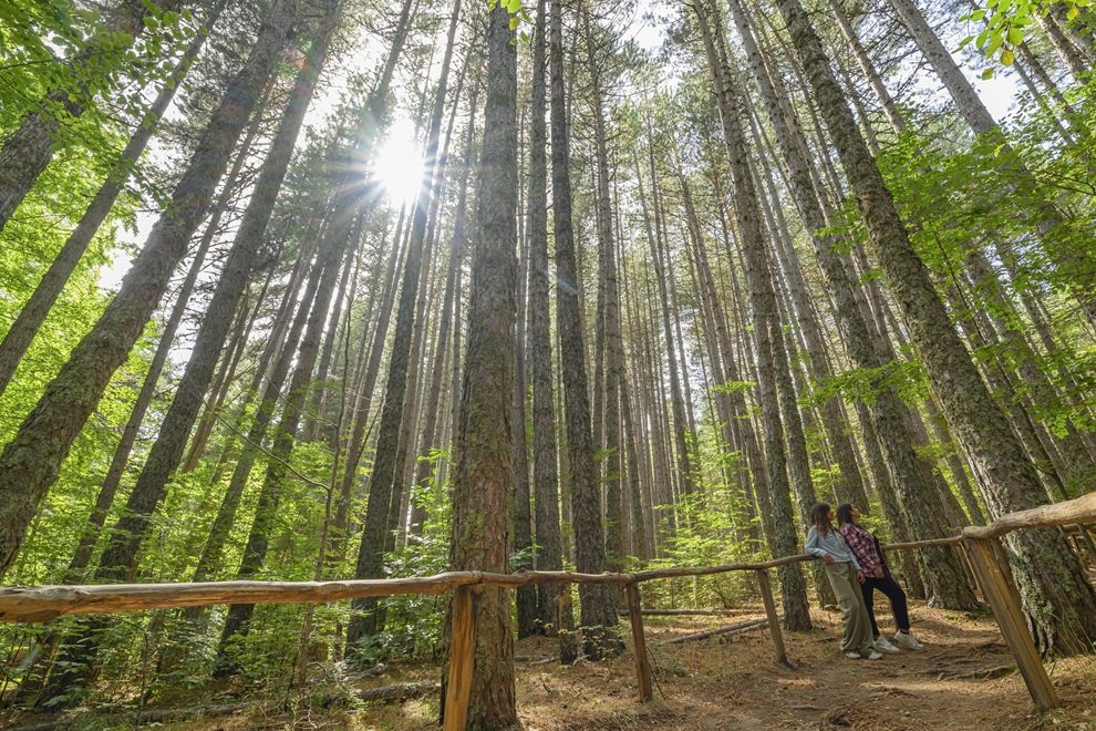 MondoInTasca tweet media