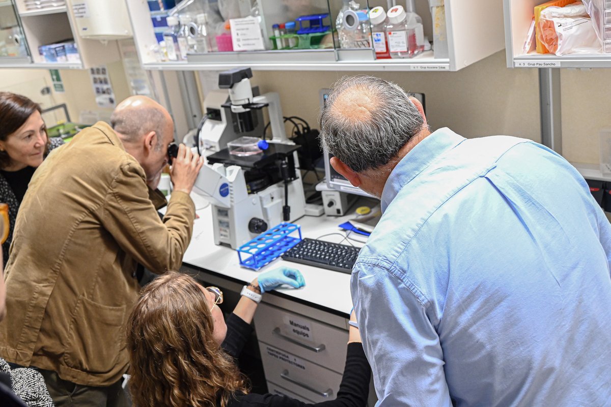 IBD lab tweet media