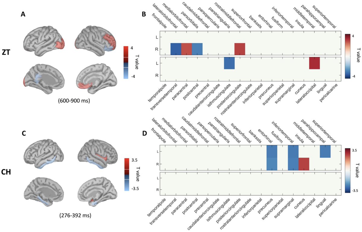 New paper in Imaging Neuroscience by Feifan Chen, Sven Vanneste, et al:

Auditory illusory models as proxies to investigate bottom-up and top-down neural networks of phantom perception

doi.org/10.1162/imag_a…