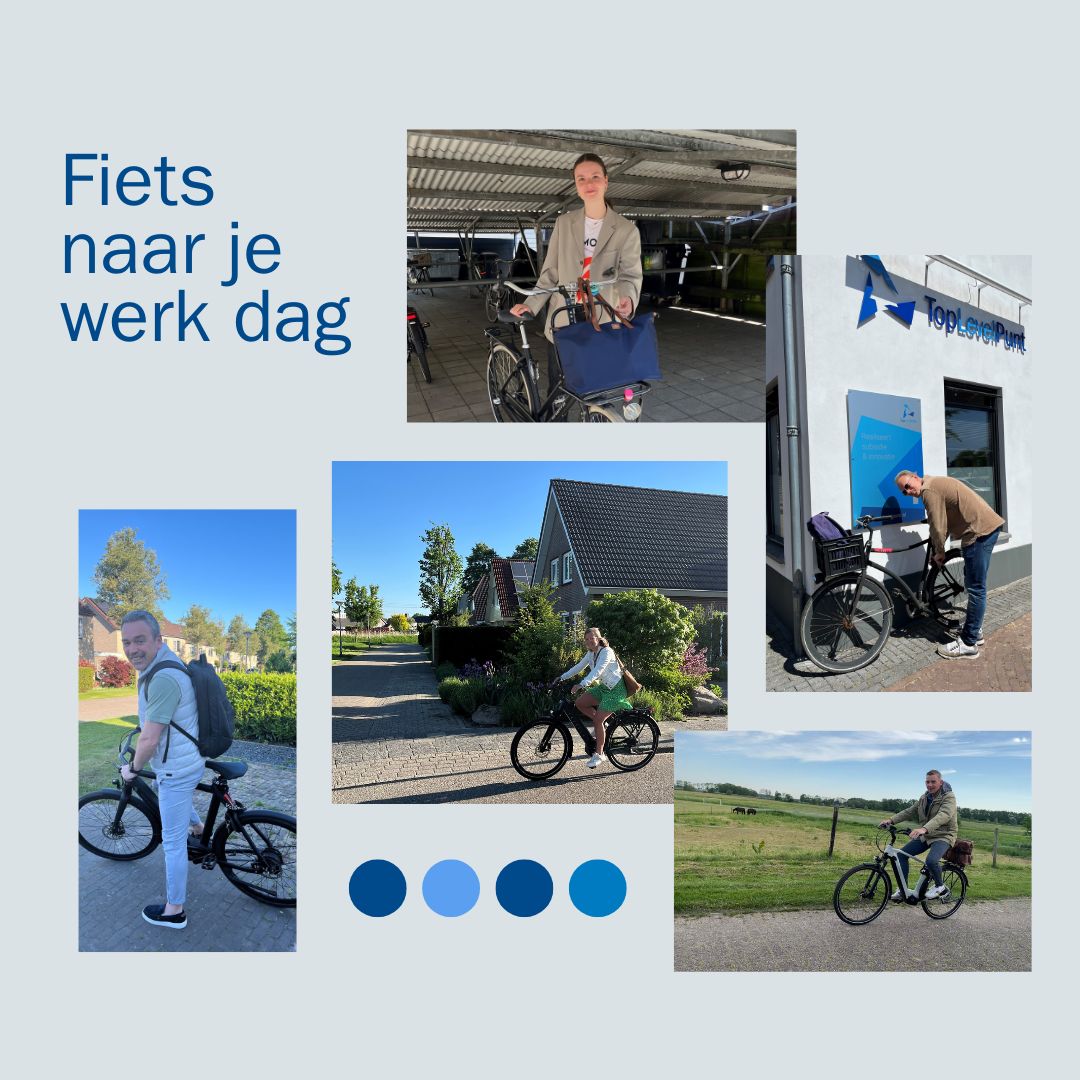 Top Level Punt tweet media