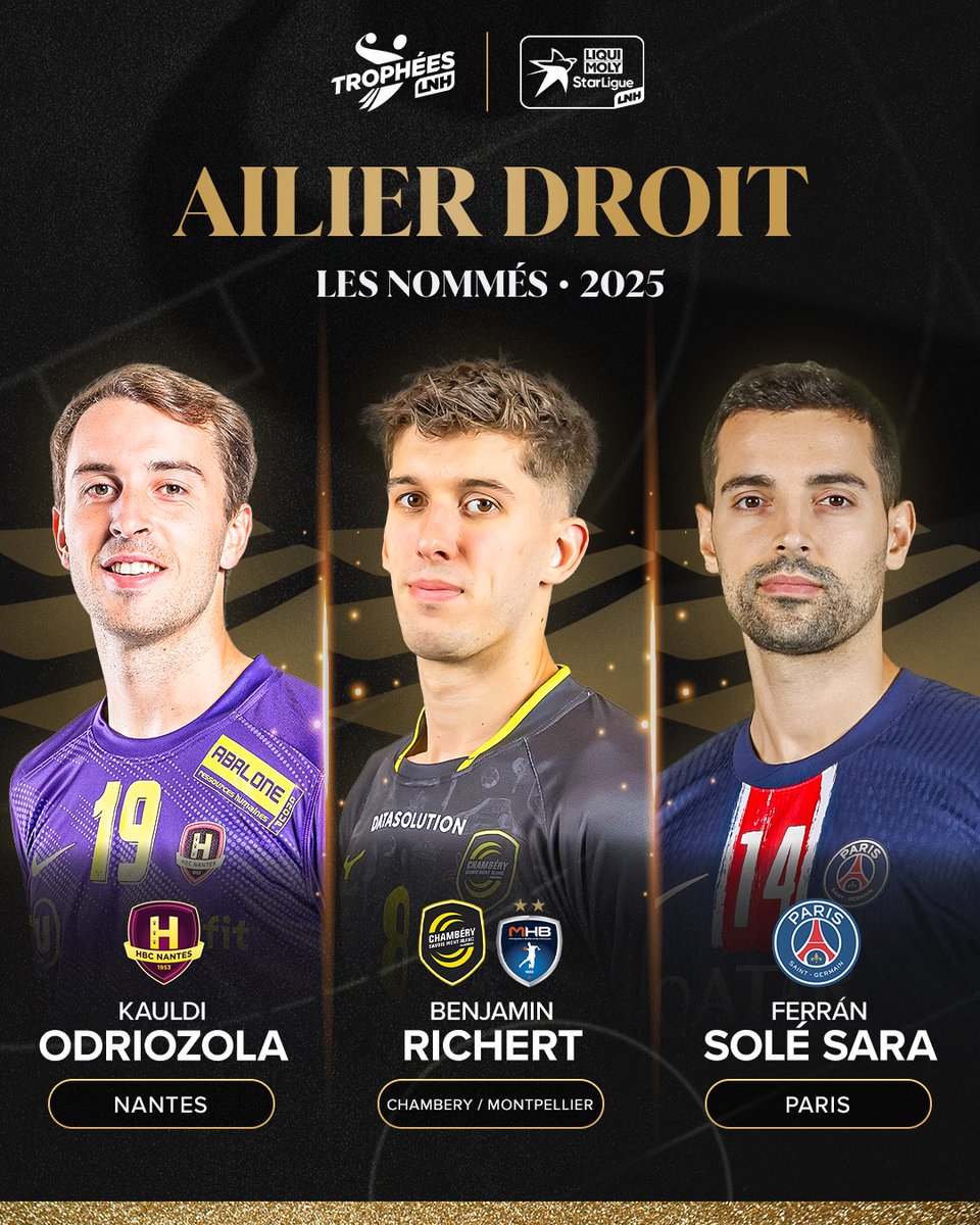 Ligue Nationale de Handball (@lnhofficiel) on Twitter photo 