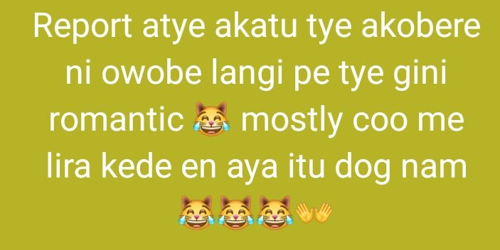 Kom dong amolatar 🫠😹🙂‍↔️