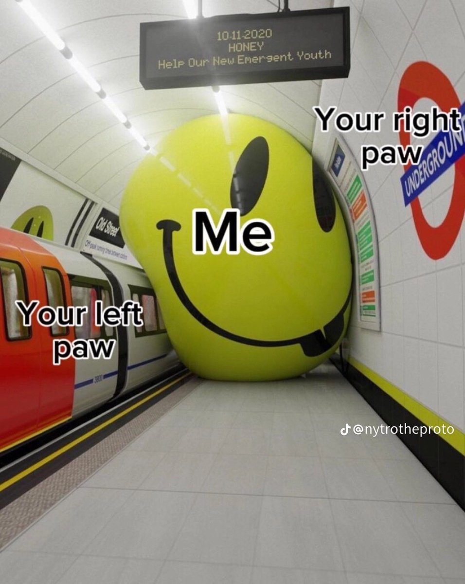 Nugget (@faggmeier) on Twitter photo 