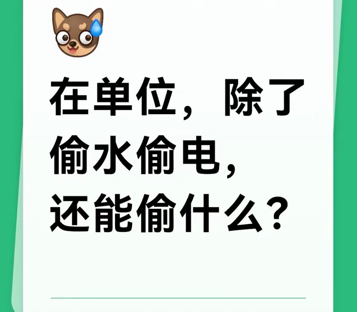 夜之城鼠鼠 tweet media