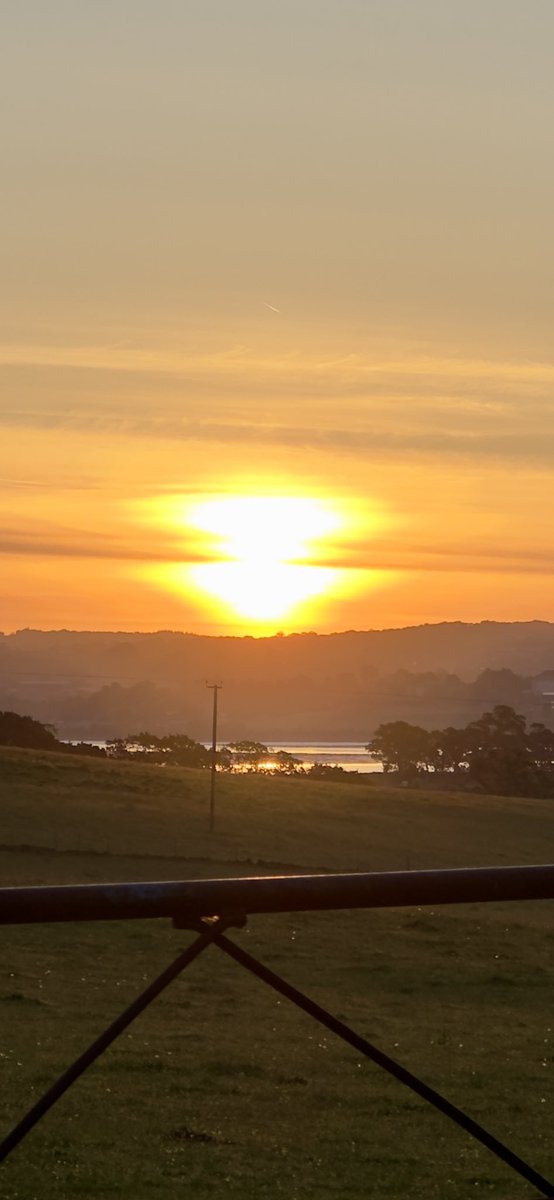 Tim Ridgeway tweet media