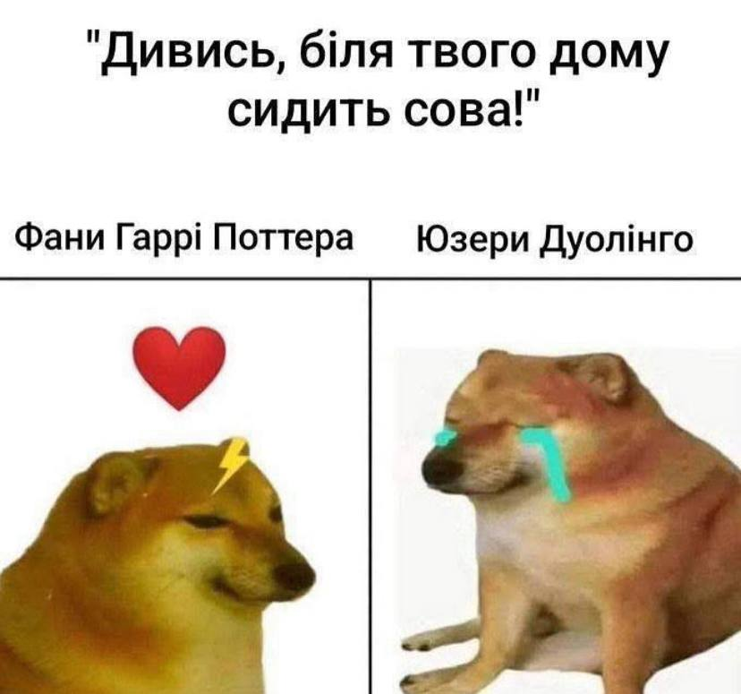 babaikit's tweet photo. https://t.co/z0ng0H4Njv