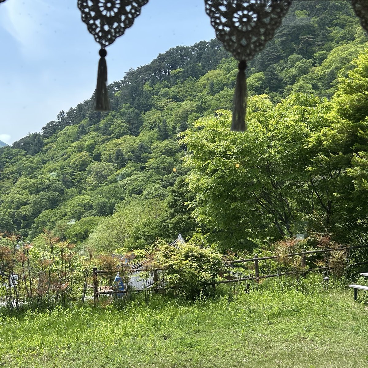 산골짜기 깊숙한 카페에서 먹는 옛날빙수와 서비스 땅콩과자까지 너무나 아늑한 시간이었다