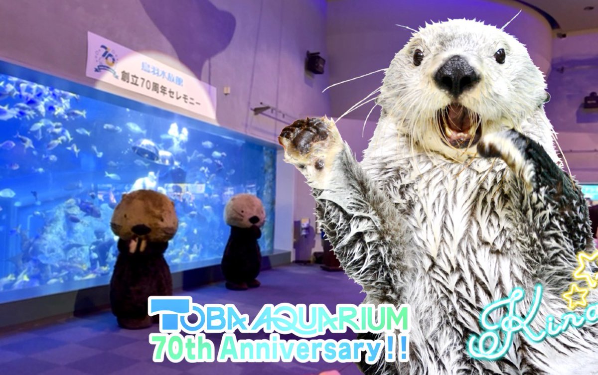 鳥羽水族館　コレカ　10パックセット　70周年記念　メイキラ　セレナ　チェキ風 鳥羽水族館 コレカ 10パックセット 70周年記念 メイキラ セレナ