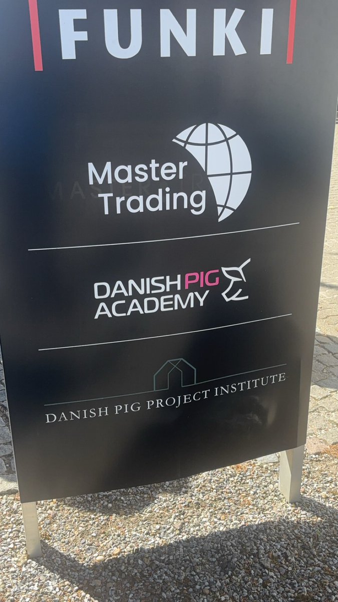 Shane McAuliffe 🐷✈️ tweet media