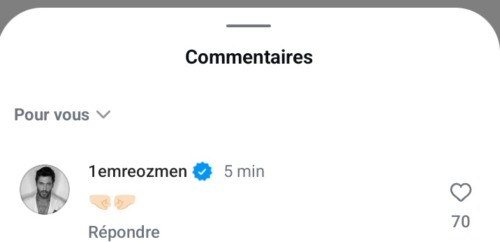 papillondesiles97 tweet media