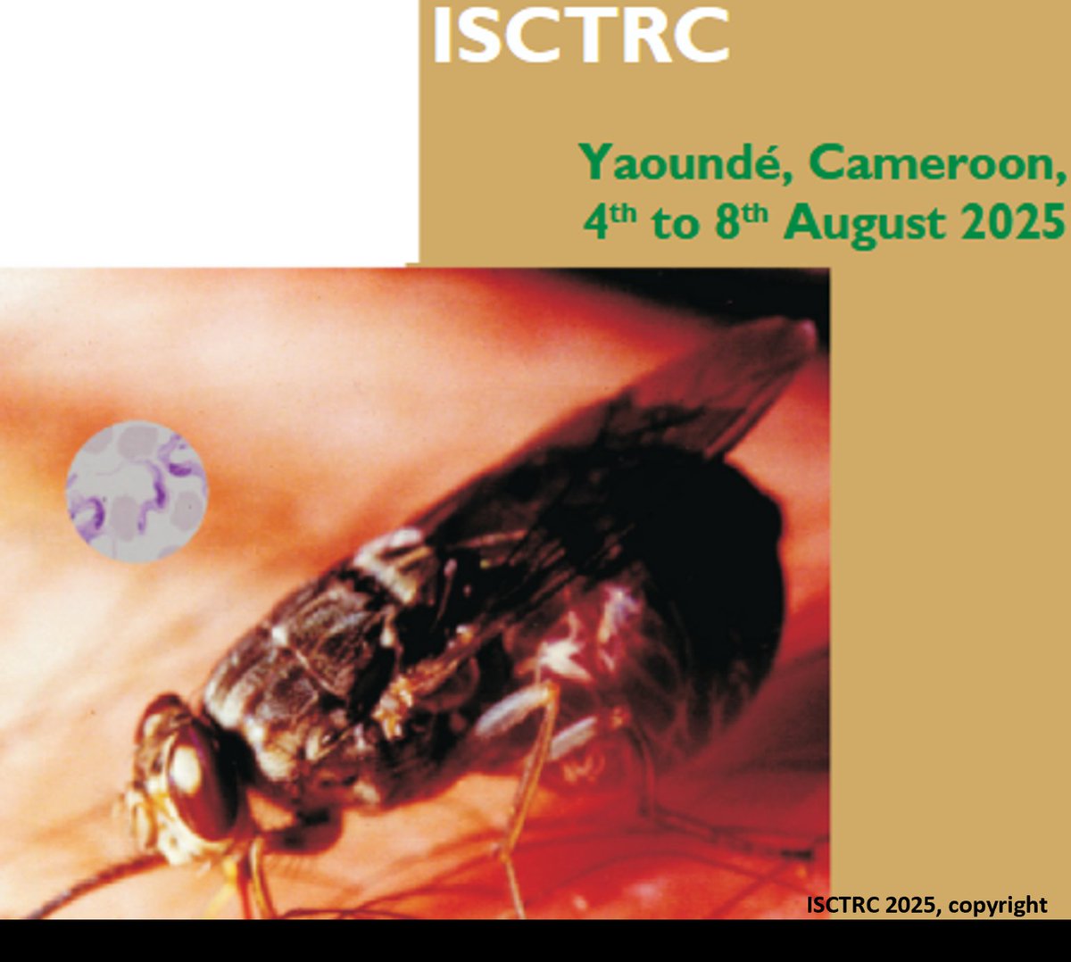 The 37th edition of ISCTRC will be held in Yaounde, Cameroon, from 4th to 8th of August 2025. Partners of the #COMBATproject will share their achievements after 3 years of implementation of this European research project.