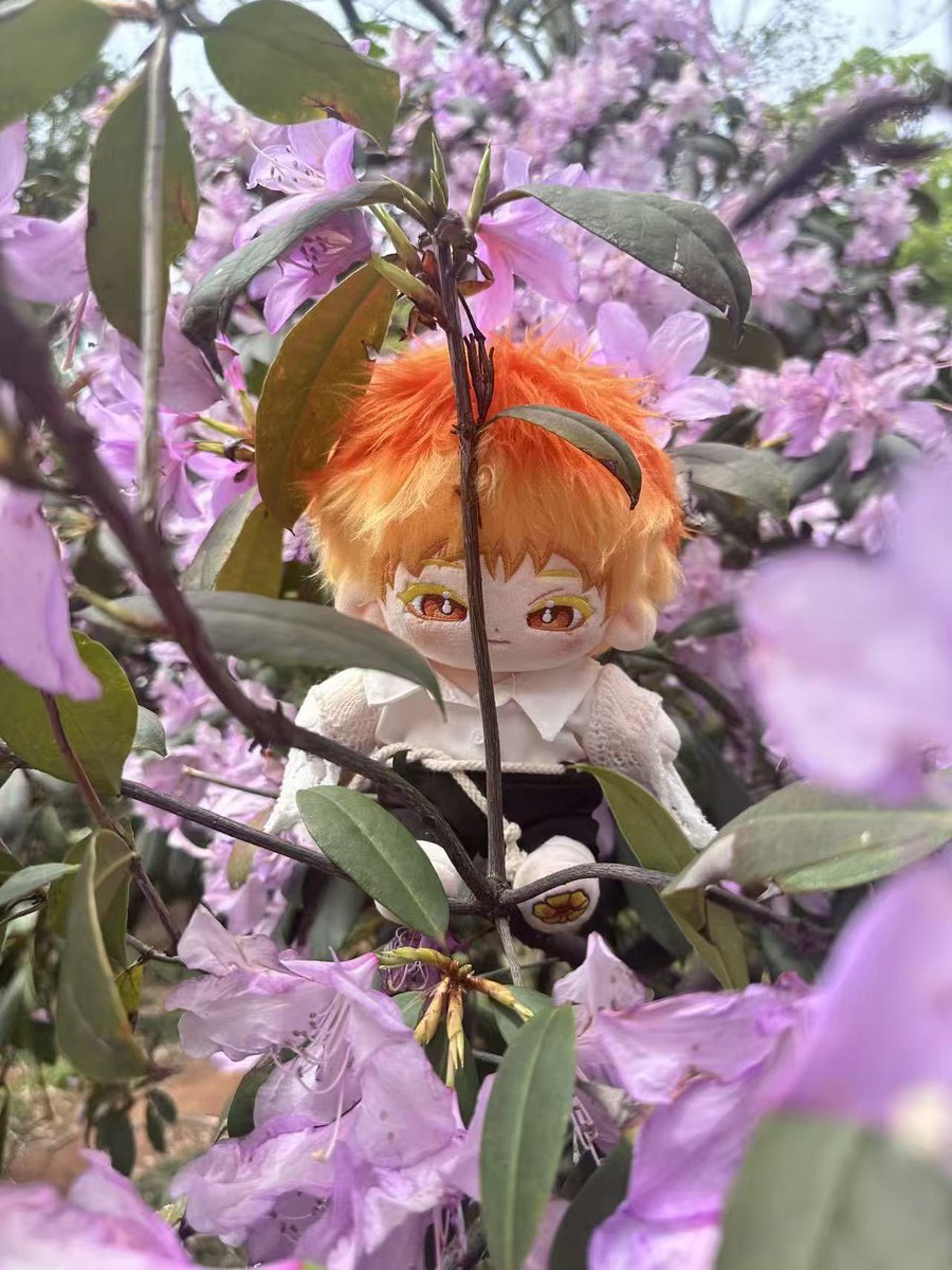 🎶
선샤인 그라데이션 샘플~~~~❤️‍🔥‼️
짧은 앞머리가 정말 귀여운 느낌을 줍니다...❤︎ꔛ❜ 
복복복* ੈ✩‧₊˚* ੈ✩‧₊

#우리_공장으로_오세요 
#우리_공장을_소개합니다