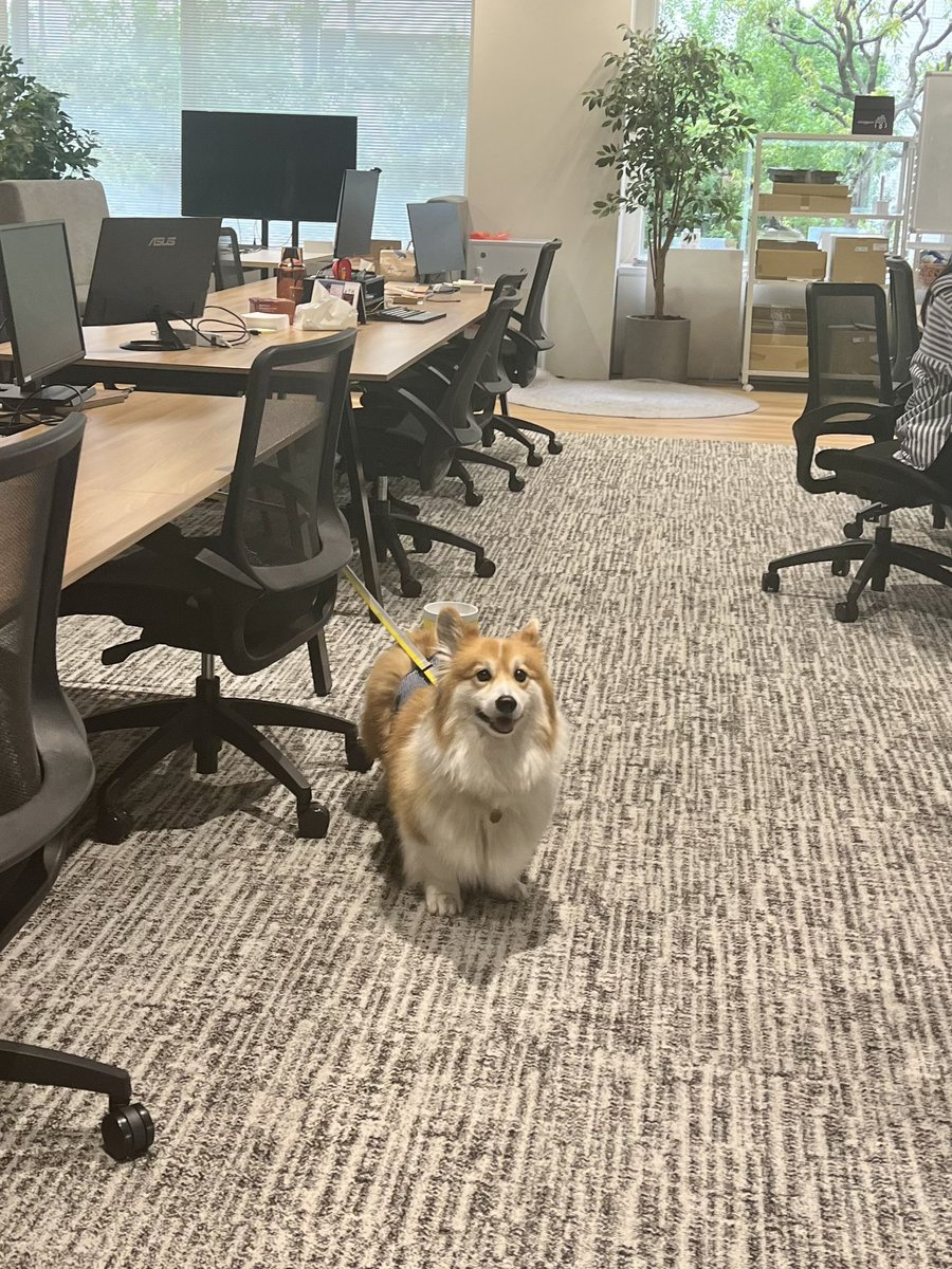 出社して秒で今日会社来てよかったって思う瞬間