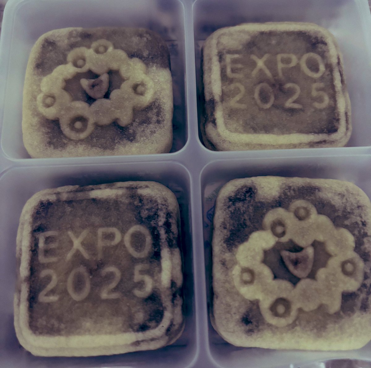 チョコビ🍫 on X