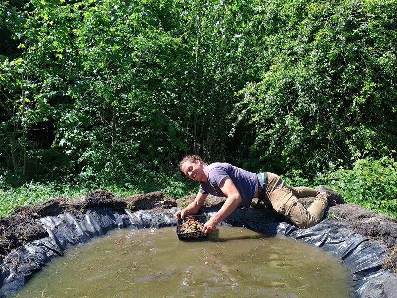 TCV Scotland tweet media