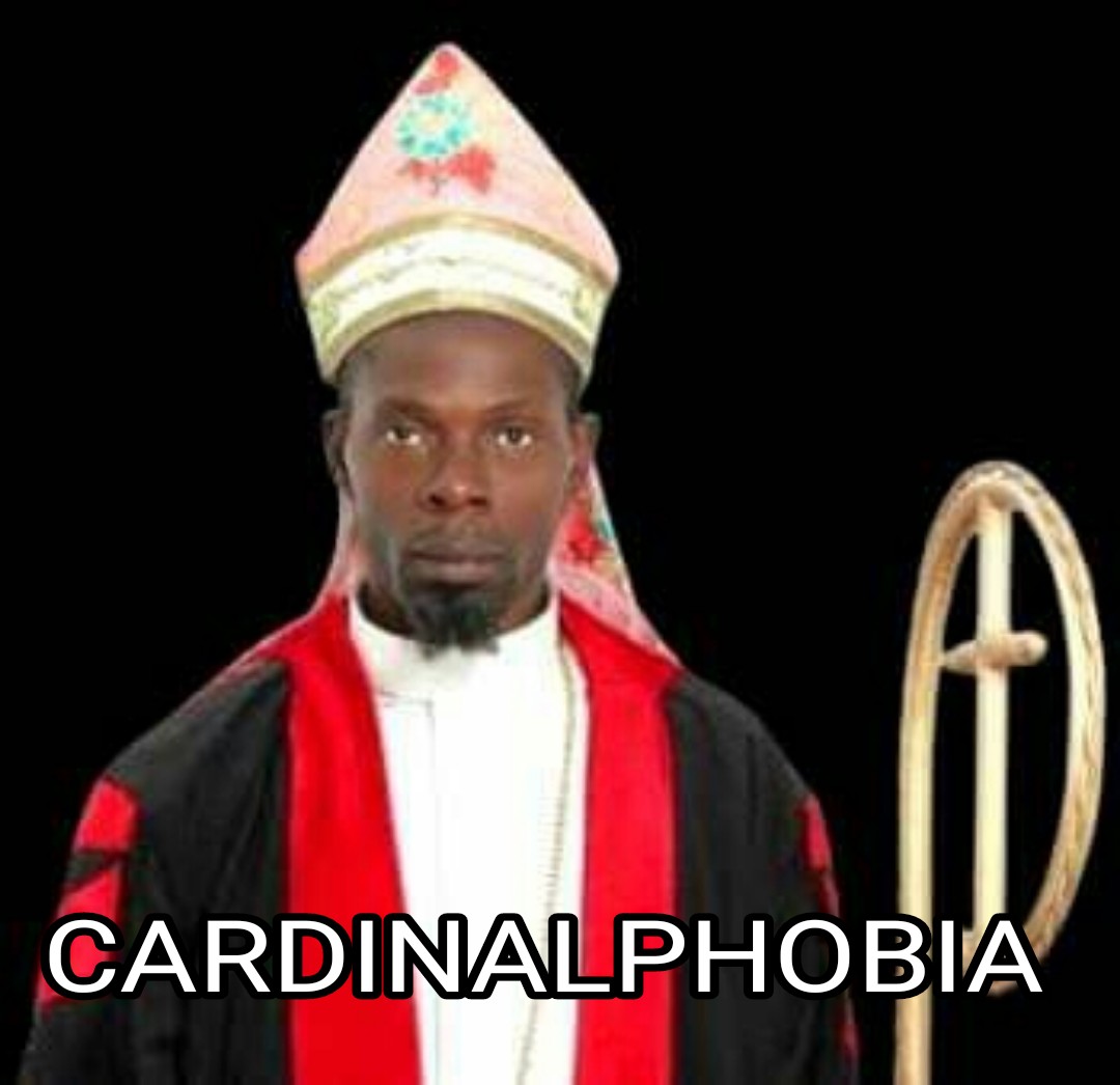 MichealOgedeng1's tweet photo. To GOD Be The Glory
#cardinalforallafrica #basilica #cardiepiscopal #faith #see #patriepiscopalblessings #supremepontiff #author #viral #PrimusInterPares #cardinalphobia #MenofGod #patriepiscopal #authority #PrimusInterPares #patriarch #Ecumenicalpatriarch #ManofGod https://t.co/ajWKl7tzDy