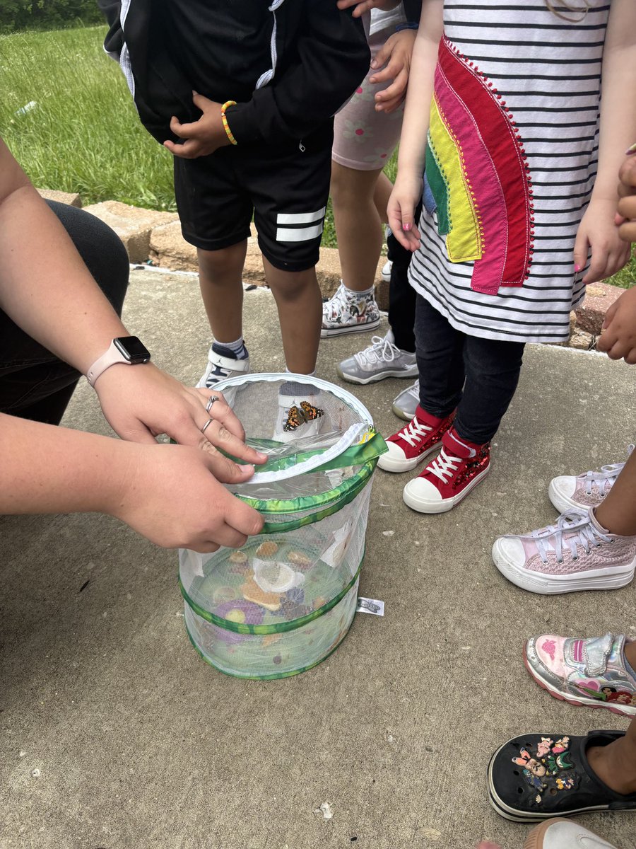 PeggyEverist tweet media