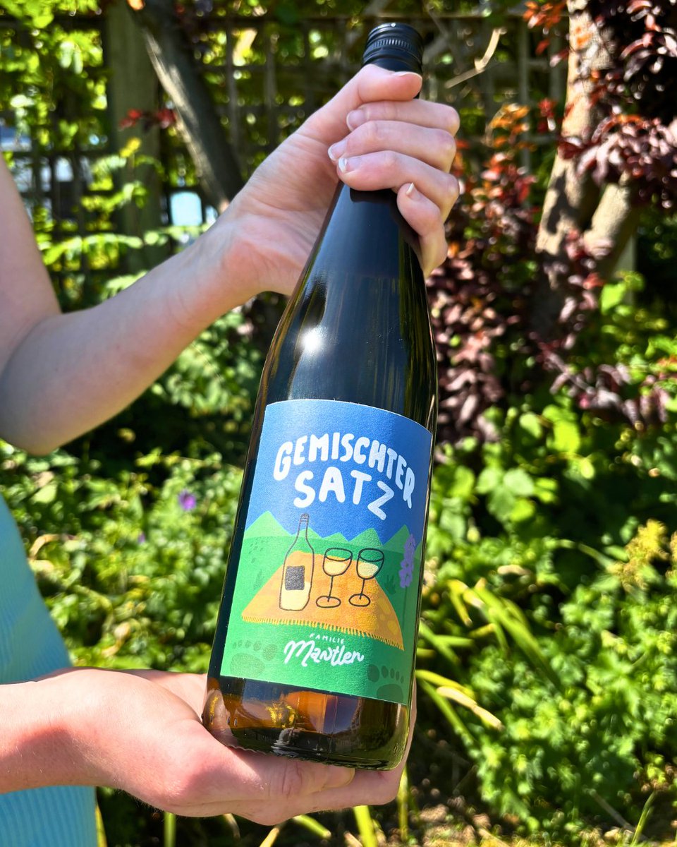 Is this the most refreshing wine of the summer?
Gemischter Satz is crisp, peachy and floral with a gentle spritz and just 11.5%. Light, bright and dangerously easy to enjoy.
Would you give it a go?