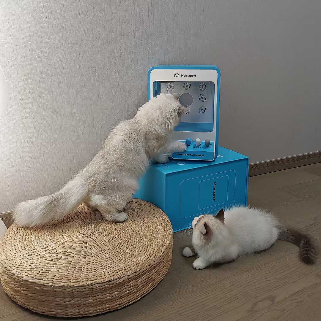 The two adorable cats absolutely adore the Dragon Boat Festival gifts from <a href="/Matrixport_EN/">BIT (formerly Matrixport)</a> <a href="/Matrixport_CN/">BIT fka Matrixport</a>  Step through the Matrix Port to seize wealth and coins!🥰😘