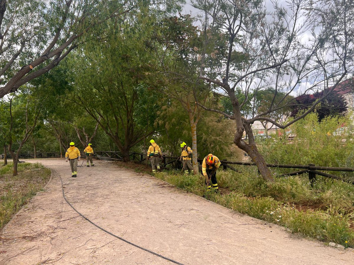 Plan_INFOCAM's tweet photo. Personal de #INFOCAM de @gobjccm #BBFF y #AAMM ha participado en el simulacro de una situación de emergencia por accidente aéreo #VillanuevadelaJara #Cuenca junto a otros cuerpos de emergencias. https://t.co/2vqJrsEOQJ