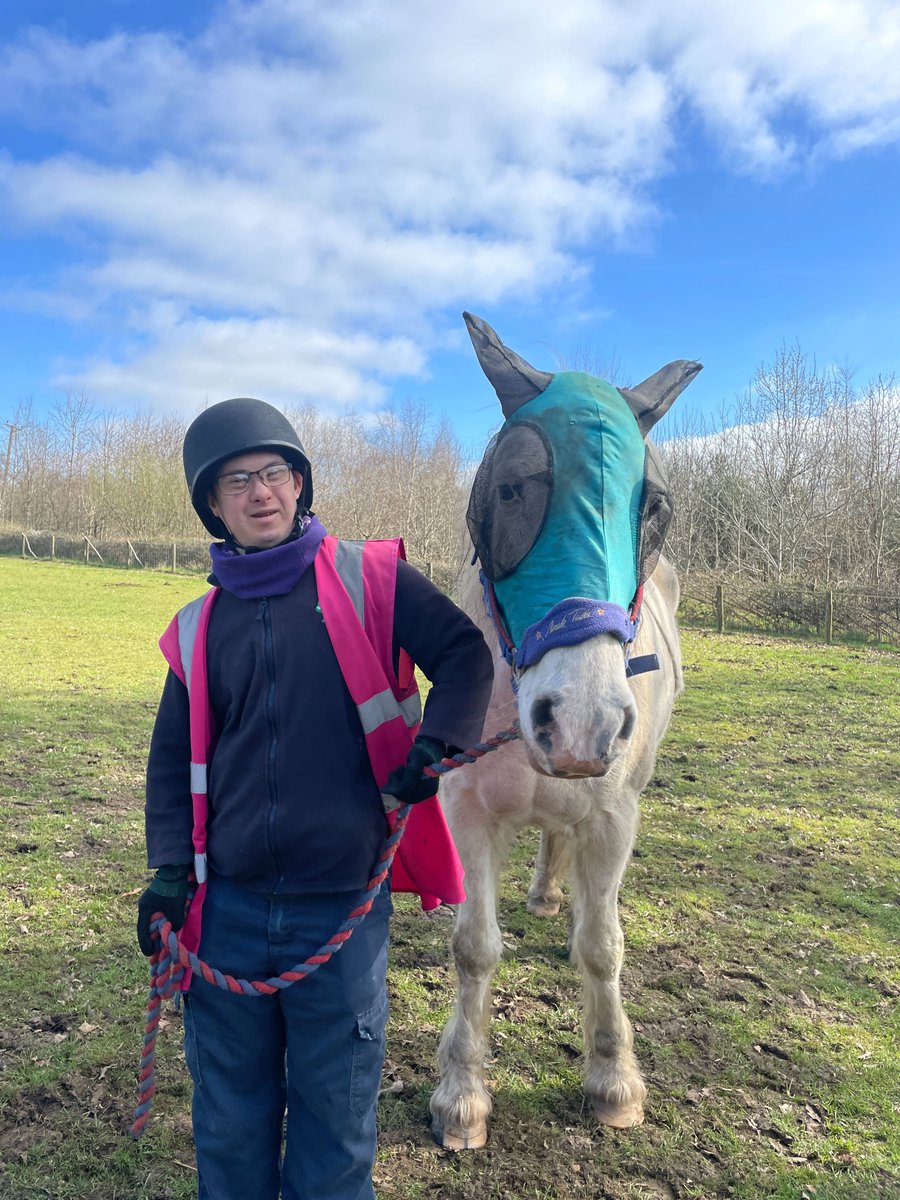 The flies are really starting to bother the horses with the warmer weather, so its fly masks on and in the stables during the day for a bit of respite for them before returning out in the evening 🐴