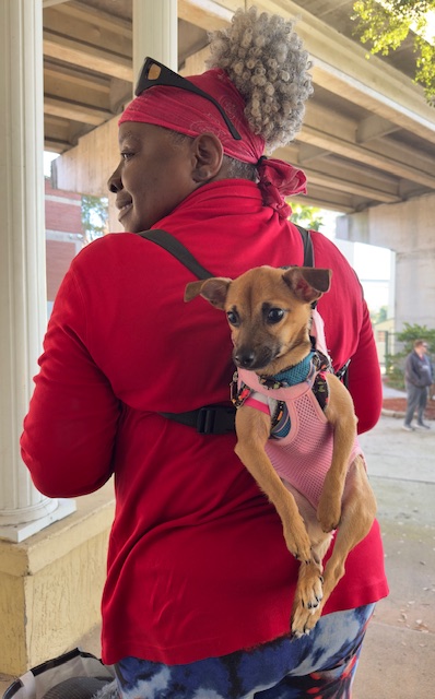 The Street Dog Coalition tweet media