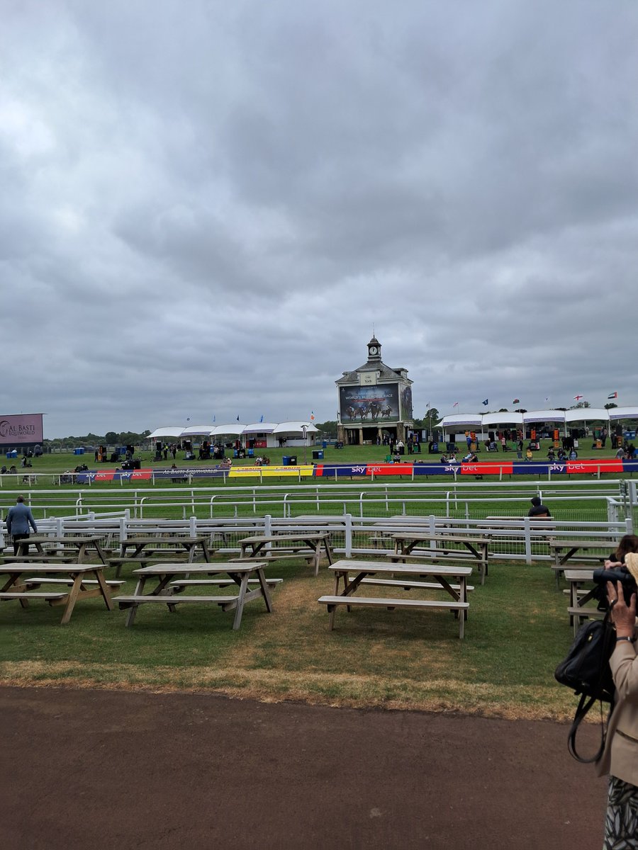 York races today